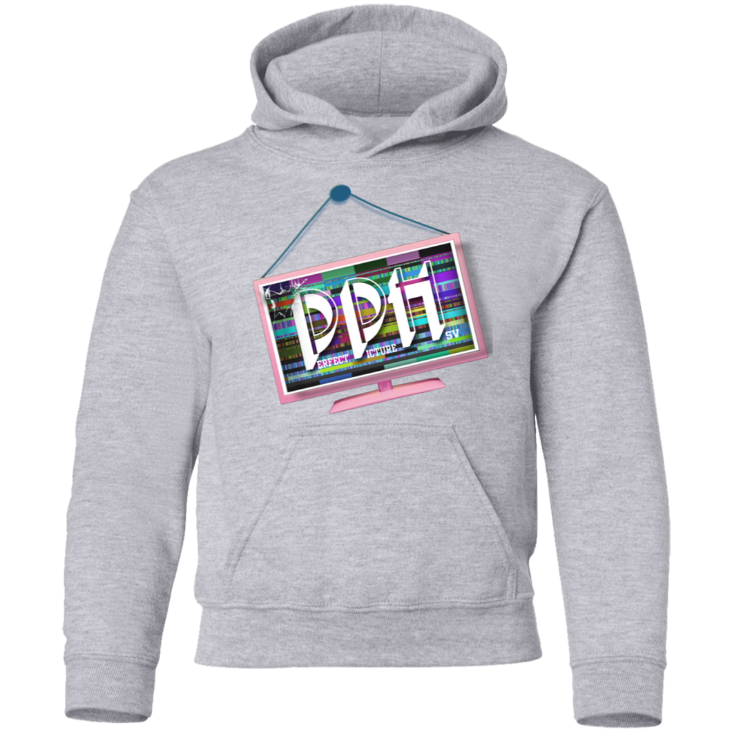 Perfect picture Youth Pullover Hoodie